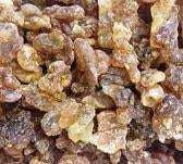 Sacred Frankincense (boswellia sacra)