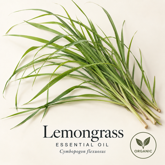 Fresh lemongrass leaves on warm ivory, labeled Lemongrass Essential Oil and Cymbopogon flexuosus, with an Organic sourcing badge.