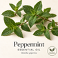 Fresh peppermint leaves on warm ivory, labeled Peppermint Essential Oil and Mentha piperita, with an Organic sourcing badge.