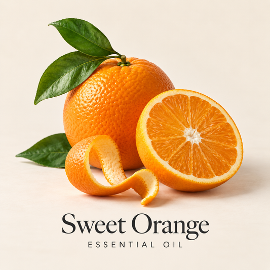 Whole and cut sweet orange fruit with peel and leaves on ivory, labeled Sweet Orange Essential Oil.