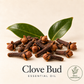 Dried clove buds and green leaves on warm ivory, labeled Clove Bud Essential Oil, with a Wild Harvested sourcing badge.